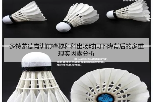 多特蒙德青训前锋穆科科出场时间下降背后的多重现实因素分析